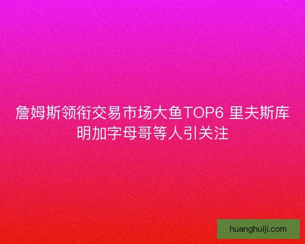 詹姆斯领衔交易市场大鱼TOP6 里夫斯库明加字母哥等人引关注
